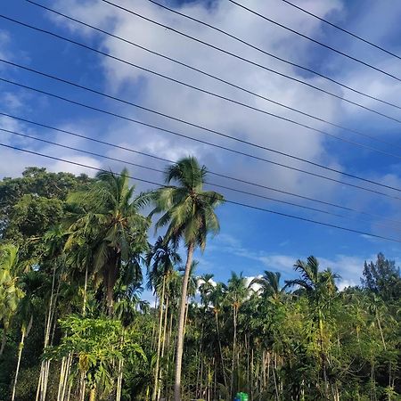 Haven Garden Homestay Port Blair Exterior foto